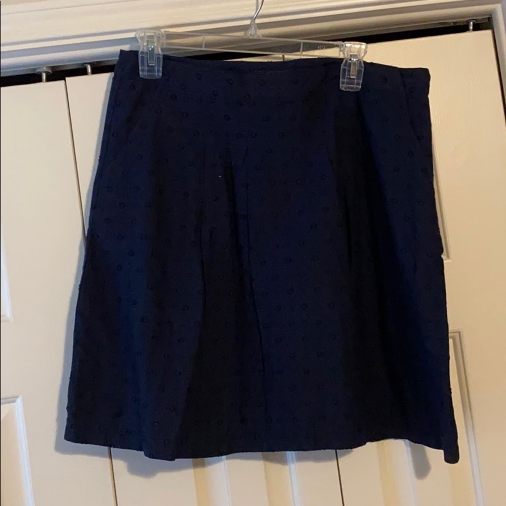 Navy Blue Skirt